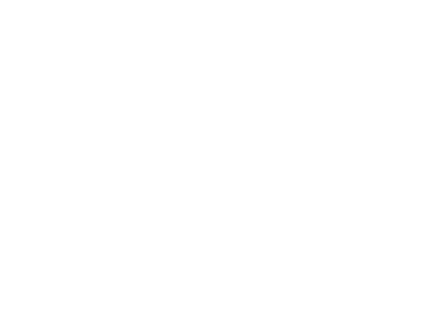 Laser X Studio